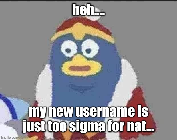 can you dededont | heh.... my new username is just too sigma for nat... | image tagged in can you dededont | made w/ Imgflip meme maker