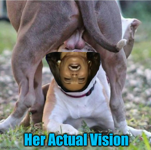 Alpha Dog teabag | Her Actual Vision | image tagged in alpha dog teabag | made w/ Imgflip meme maker