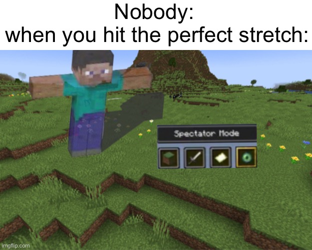 Spectator Mode | Nobody: 
when you hit the perfect stretch: | image tagged in spectator mode,memes | made w/ Imgflip meme maker