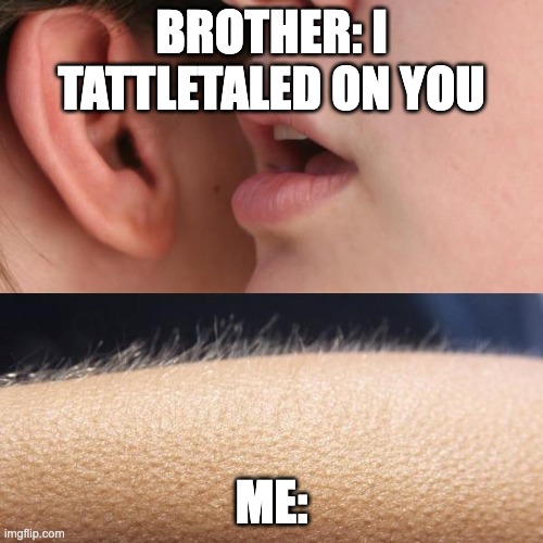 i think you know what this means | BROTHER: I TATTLETALED ON YOU; ME: | image tagged in whisper and goosebumps | made w/ Imgflip meme maker