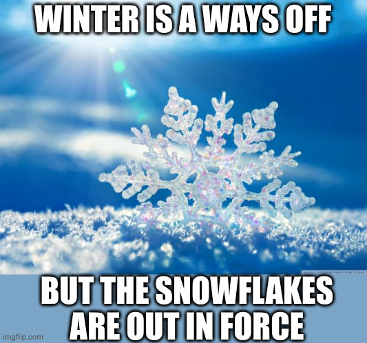 snowflake | WINTER IS A WAYS OFF; BUT THE SNOWFLAKES ARE OUT IN FORCE | image tagged in snowflake | made w/ Imgflip meme maker