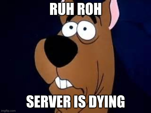 It is | RUH ROH; SERVER IS DYING | image tagged in scooby doo surprised | made w/ Imgflip meme maker