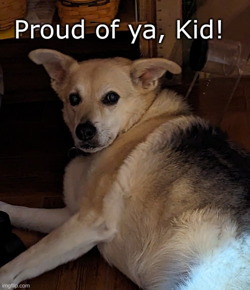 Proud of ya Kid | Proud of ya, Kid! | image tagged in eddie dog,proud of kid | made w/ Imgflip meme maker