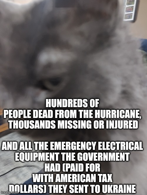 32's Cat | HUNDREDS OF PEOPLE DEAD FROM THE HURRICANE,
 THOUSANDS MISSING OR INJURED
 

AND ALL THE EMERGENCY ELECTRICAL EQUIPMENT THE GOVERNMENT HAD (PAID FOR WITH AMERICAN TAX DOLLARS) THEY SENT TO UKRAINE | image tagged in 32's cat | made w/ Imgflip meme maker