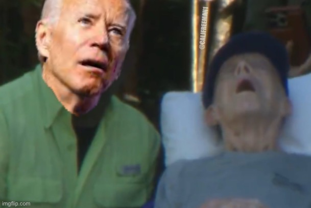 It’s the same picture… | @CALJFREEMAN1 | image tagged in joe biden,creepy joe biden,jimmy carter,maga,donald trump,kamala harris | made w/ Imgflip meme maker