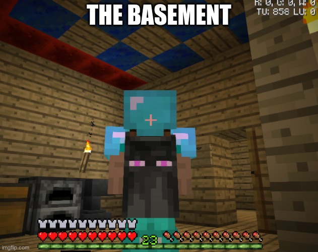 THE BASEMENT | made w/ Imgflip meme maker