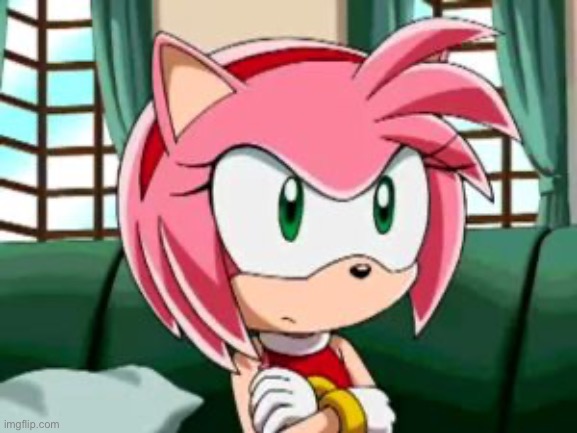 Unamused Amy Rose | image tagged in unamused amy rose | made w/ Imgflip meme maker