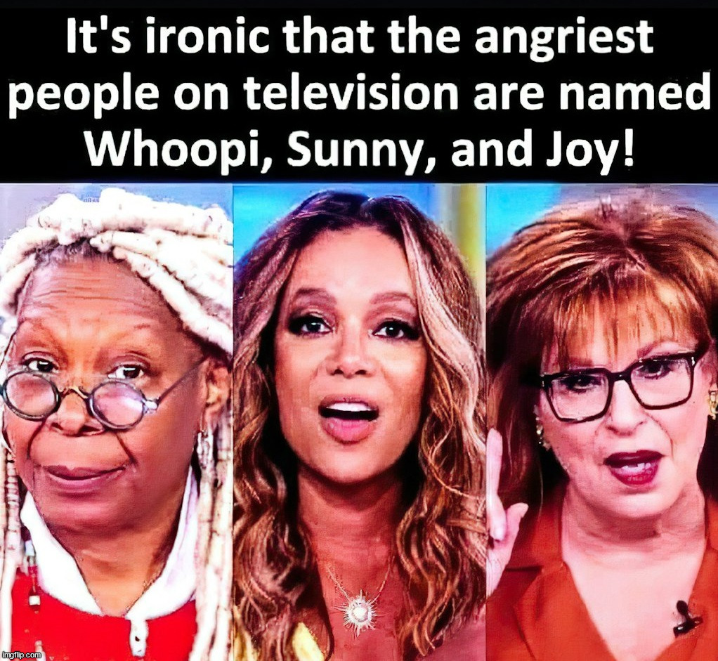 The angry old ladies | image tagged in the view | made w/ Imgflip meme maker