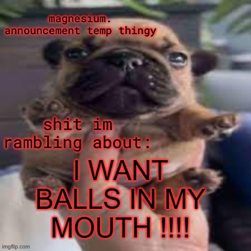 pug temp | I WANT BALLS IN MY MOUTH !!!! | image tagged in pug temp | made w/ Imgflip meme maker