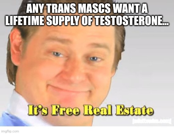 How I love this temp | ANY TRANS MASCS WANT A LIFETIME SUPPLY OF TESTOSTERONE... | image tagged in it's free real estate | made w/ Imgflip meme maker