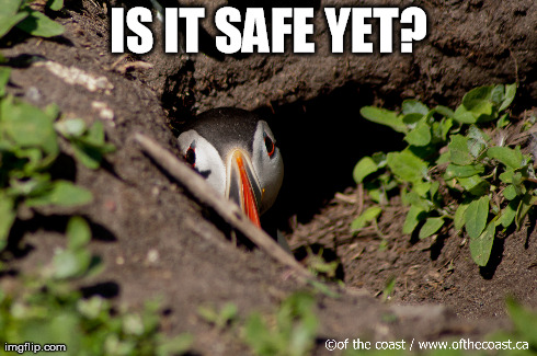 IS IT SAFE YET? | image tagged in AdviceAnimals | made w/ Imgflip meme maker