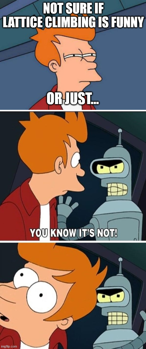 Futurama Fry | NOT SURE IF LATTICE CLIMBING IS FUNNY; OR JUST... | image tagged in memes,futurama fry,lattice climbing,steeltower,climbing,meme | made w/ Imgflip meme maker