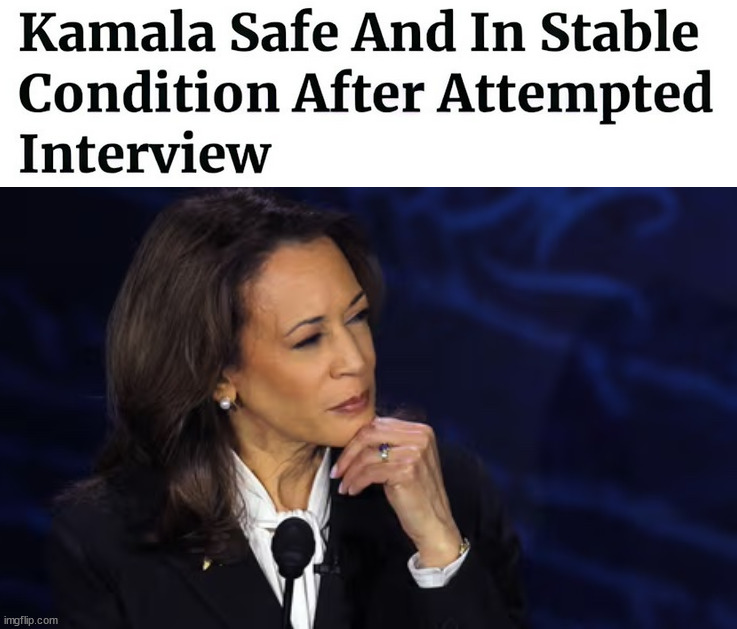 Hide and seek | image tagged in kamala harris chin pose | made w/ Imgflip meme maker