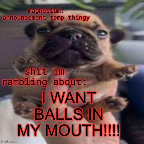pug temp | I WANT BALLS IN MY MOUTH!!!! | image tagged in pug temp | made w/ Imgflip meme maker