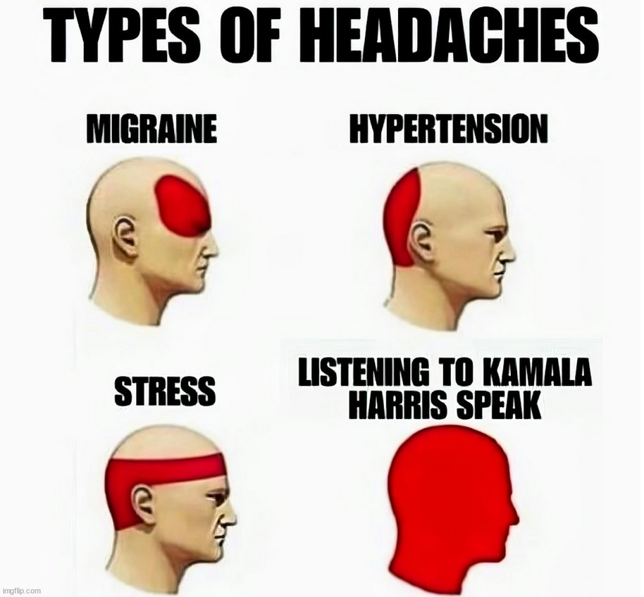 Headache | image tagged in kamala harris | made w/ Imgflip meme maker