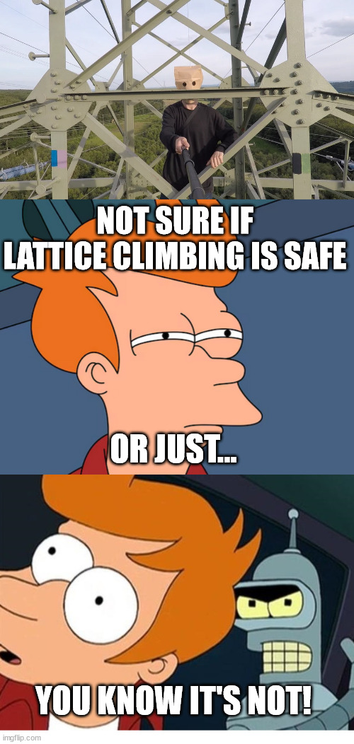 Futurama, lattice climbing is safe? | NOT SURE IF LATTICE CLIMBING IS SAFE; OR JUST... YOU KNOW IT'S NOT! | image tagged in baghead lattice climber,futurama,lattice climbing,fry,bender,meme | made w/ Imgflip meme maker