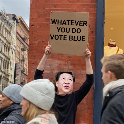 They love Kamala everywhere | WHATEVER YOU DO VOTE BLUE | image tagged in man holding cardboard sign,xi jinping,china,russia,iran,around the world | made w/ Imgflip meme maker