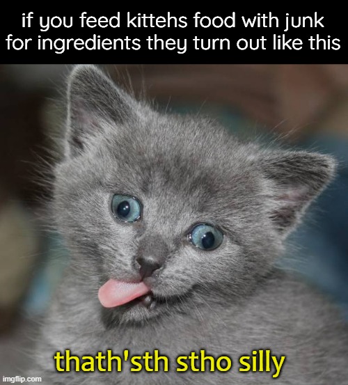 if you feed kittehs food with junk for ingredients they turn out like this thath'sth stho silly | made w/ Imgflip meme maker