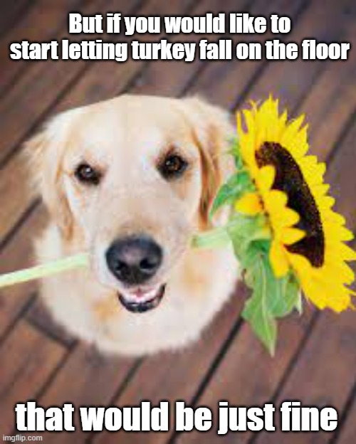 But if you would like to start letting turkey fall on the floor that would be just fine | made w/ Imgflip meme maker