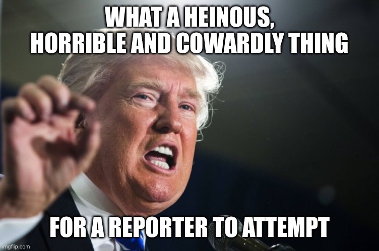 donald trump | WHAT A HEINOUS, HORRIBLE AND COWARDLY THING FOR A REPORTER TO ATTEMPT | image tagged in donald trump | made w/ Imgflip meme maker