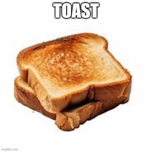 Just ignore this | TOAST | image tagged in and that's all i have to say about that,fun | made w/ Imgflip meme maker