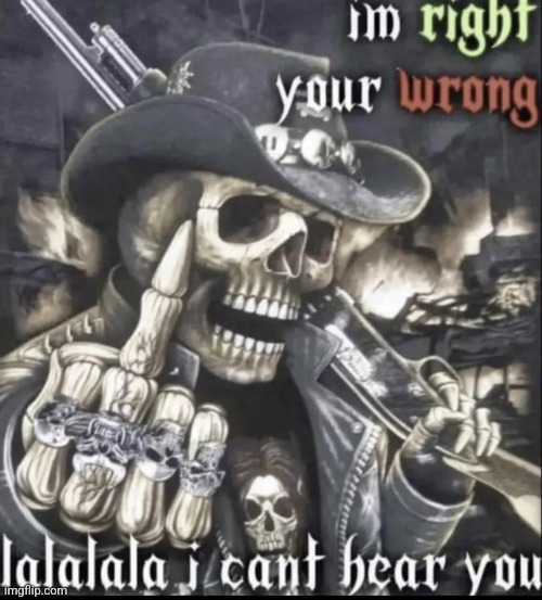im right youre wrong lalalala i cant hear you | image tagged in im right youre wrong lalalala i cant hear you | made w/ Imgflip meme maker