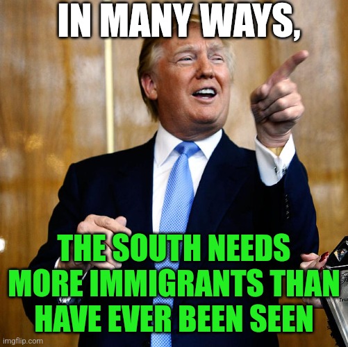 A Lot to Rebuild | IN MANY WAYS, THE SOUTH NEEDS MORE IMMIGRANTS THAN HAVE EVER BEEN SEEN | image tagged in donald trump,maga,immigration,hurricane helene,the south,funny memes | made w/ Imgflip meme maker