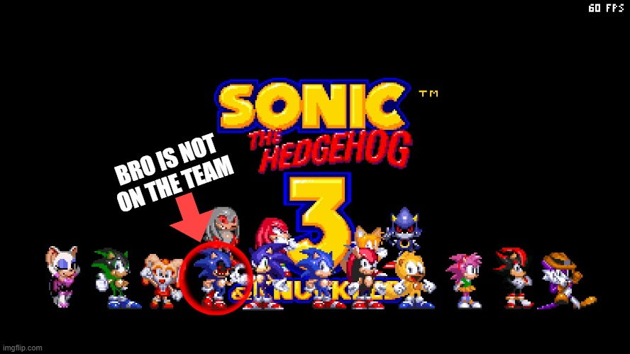 bro thinks he's on the team | image tagged in sonic the hedgehog,sonic exe | made w/ Imgflip meme maker