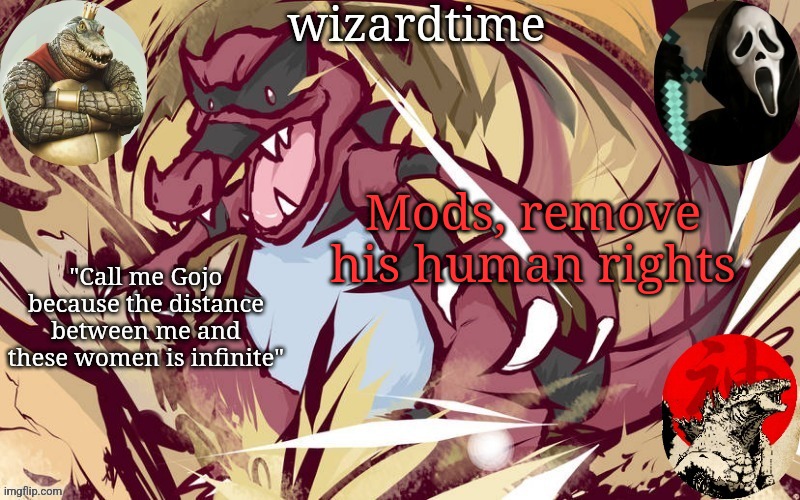 wizardtime | Mods, remove his human rights | image tagged in wizardtime | made w/ Imgflip meme maker