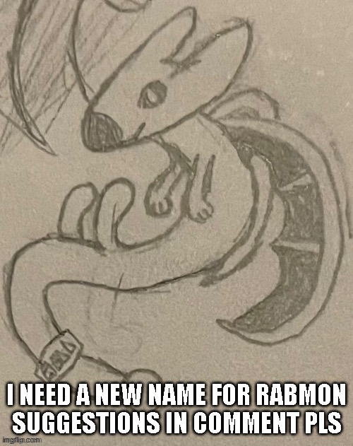I NEED A NEW NAME FOR RABMON
SUGGESTIONS IN COMMENT PLS | made w/ Imgflip meme maker