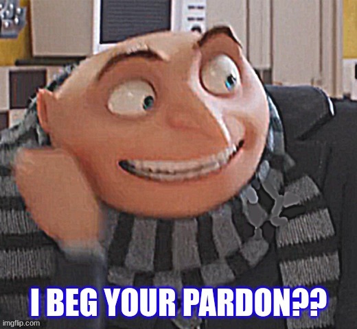 I beg your pardon | image tagged in i beg your pardon | made w/ Imgflip meme maker