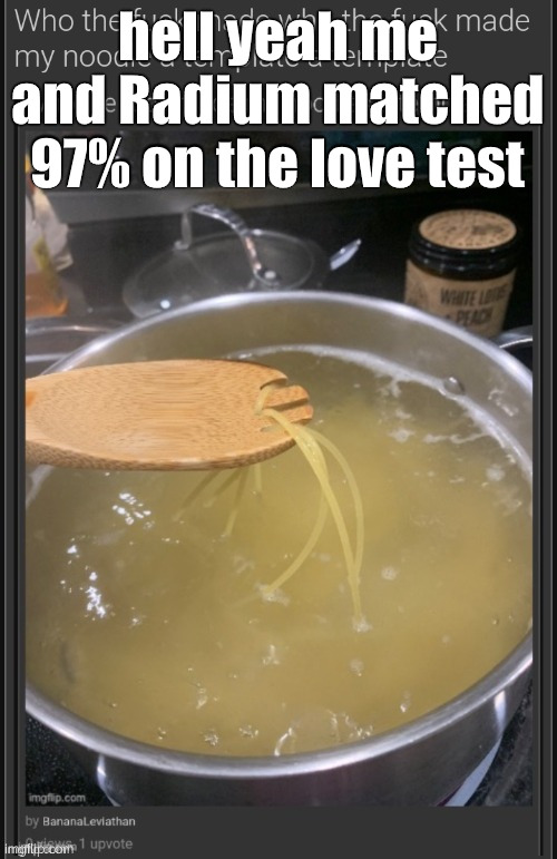 who the fuck made who the fuck made my noodle a template a templ | hell yeah me and Radium matched 97% on the love test | image tagged in who the fuck made who the fuck made my noodle a template a templ | made w/ Imgflip meme maker