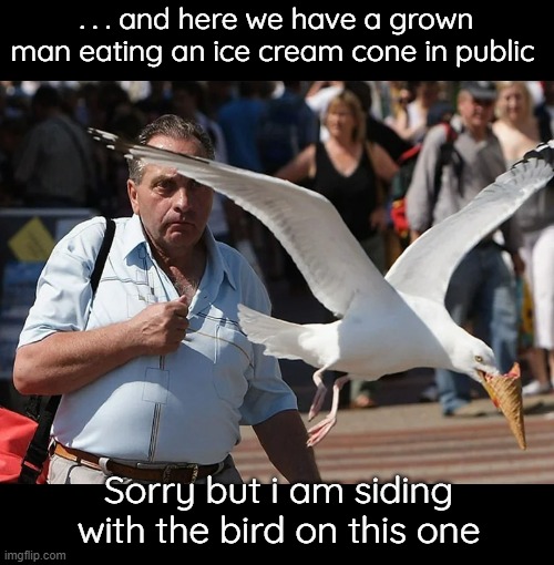 There are some foods that I don't like watching adults eat in public. There. I said it. | . . . and here we have a grown man eating an ice cream cone in public; Sorry but i am siding with the bird on this one | image tagged in funny memes,ridiculous adults | made w/ Imgflip meme maker