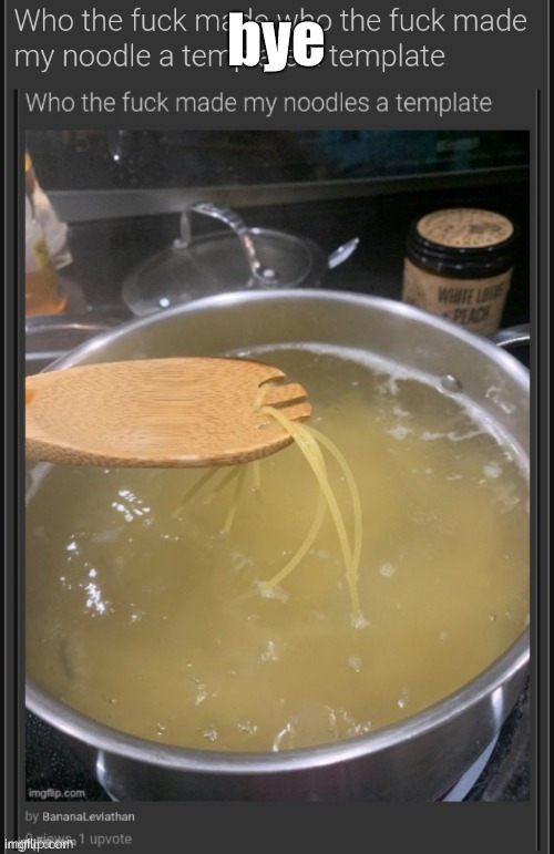 who the fuck made who the fuck made my noodle a template a templ | bye | image tagged in who the fuck made who the fuck made my noodle a template a templ | made w/ Imgflip meme maker