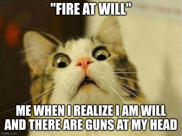 Scared Cat | "FIRE AT WILL"; ME WHEN I REALIZE I AM WILL AND THERE ARE GUNS AT MY HEAD | image tagged in memes,scared cat | made w/ Imgflip meme maker