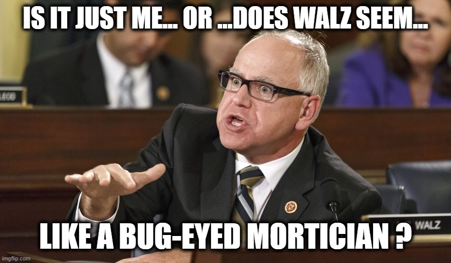 BUG-EYED MORTICIAN ? | IS IT JUST ME... OR ...DOES WALZ SEEM... LIKE A BUG-EYED MORTICIAN ? | image tagged in vp,harris,debate,walz,mortician,bug | made w/ Imgflip meme maker