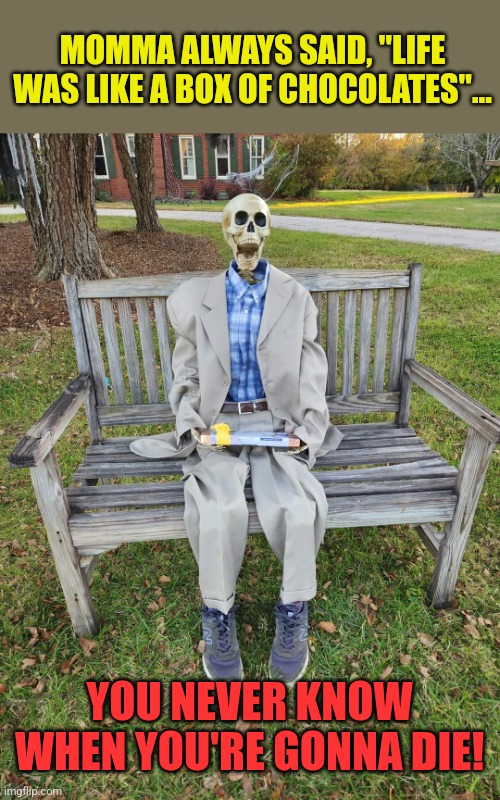 Skeleton Gump | MOMMA ALWAYS SAID, "LIFE WAS LIKE A BOX OF CHOCOLATES"... YOU NEVER KNOW WHEN YOU'RE GONNA DIE! | image tagged in forrest gump box of chocolates,skeleton,forrest gump,halloween,memes | made w/ Imgflip meme maker