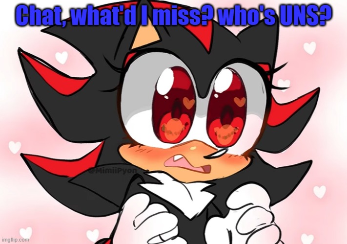 quar? | Chat, what'd I miss? who's UNS? | image tagged in shadow anime | made w/ Imgflip meme maker