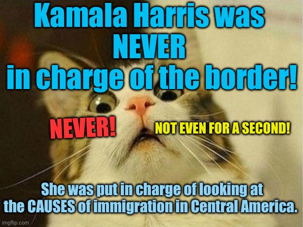 Kamala Harris was never in charge of the border | Kamala Harris was 

NEVER 
in charge of the border! NOT EVEN FOR A SECOND! NEVER! She was put in charge of looking at the CAUSES of immigration in Central America. | image tagged in memes,scared cat | made w/ Imgflip meme maker