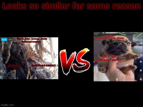 Looks so similar for some reason | made w/ Imgflip meme maker