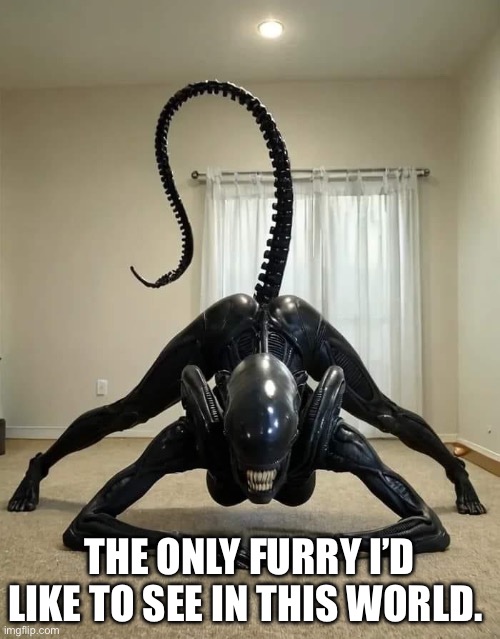 THE ONLY FURRY I’D LIKE TO SEE IN THIS WORLD. | image tagged in furry,aliens,xenomorph,funny,sexy | made w/ Imgflip meme maker