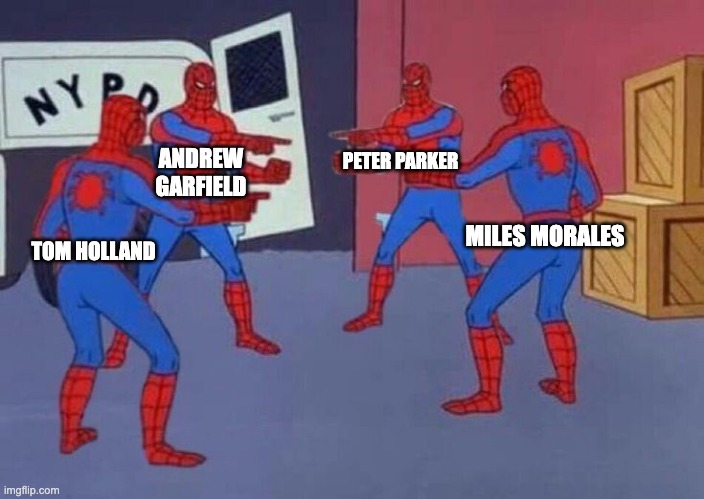 Are there any others? | PETER PARKER; ANDREW GARFIELD; MILES MORALES; TOM HOLLAND | image tagged in 4 spiderman pointing at each other | made w/ Imgflip meme maker