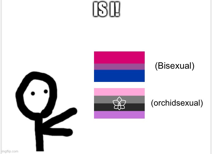 pluh | (Bisexual); (orchidsexual) | image tagged in is i | made w/ Imgflip meme maker