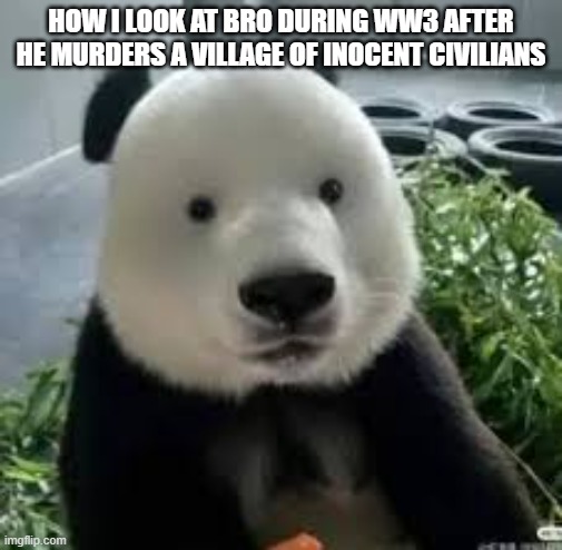 Retard Panda | HOW I LOOK AT BRO DURING WW3 AFTER HE MURDERS A VILLAGE OF INOCENT CIVILIANS | image tagged in funny memes,retard,funny,panda | made w/ Imgflip meme maker