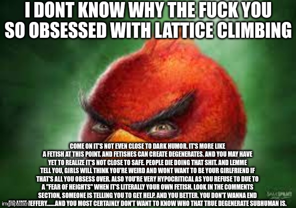 Realistic Red Angry Birds | I DONT KNOW WHY THE FUCK YOU SO OBSESSED WITH LATTICE CLIMBING COME ON IT'S NOT EVEN CLOSE TO DARK HUMOR. IT'S MORE LIKE A FETISH AT THIS PO | image tagged in realistic red angry birds | made w/ Imgflip meme maker