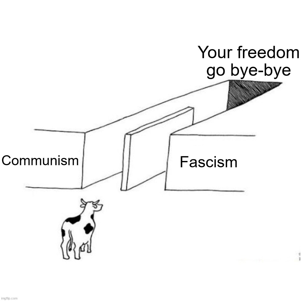 The illusion of free choice blank | Your freedom go bye-bye; Communism; Fascism | image tagged in the illusion of free choice blank | made w/ Imgflip meme maker