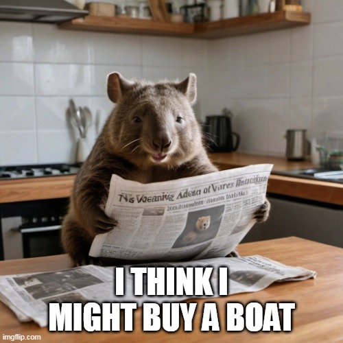 buy a wombat boat | I THINK I MIGHT BUY A BOAT | image tagged in wombat | made w/ Imgflip meme maker