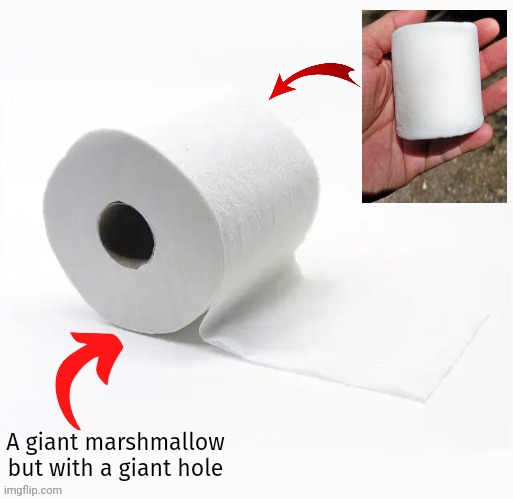 Giant marshmallow | A giant marshmallow but with a giant hole | image tagged in marshmallow,toilet paper | made w/ Imgflip meme maker