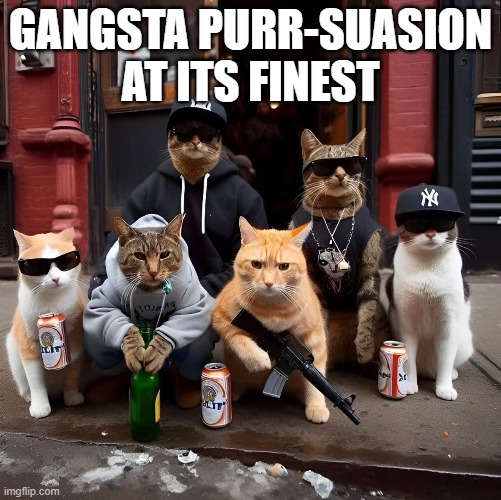 purr-suasion | GANGSTA PURR-SUASION AT ITS FINEST | image tagged in memes | made w/ Imgflip meme maker