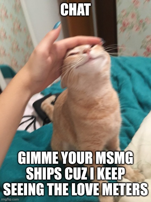 :3 | CHAT; GIMME YOUR MSMG SHIPS CUZ I KEEP SEEING THE LOVE METERS | image tagged in cat pat | made w/ Imgflip meme maker